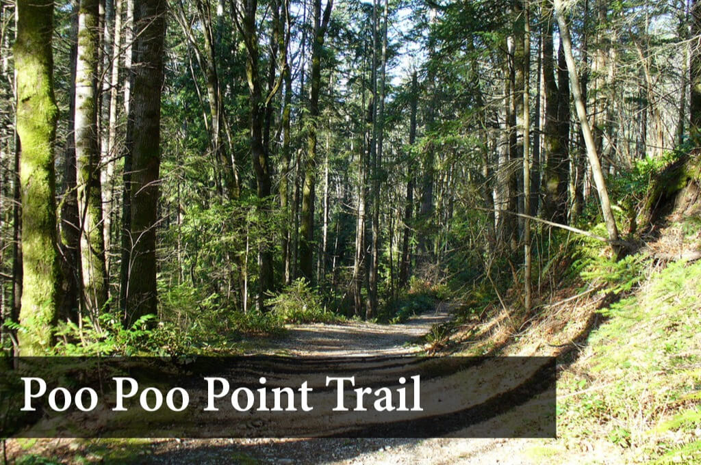 Poo Point Chirico Trail