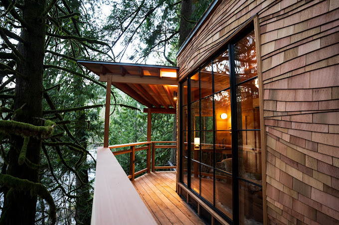 Tree House Point deck