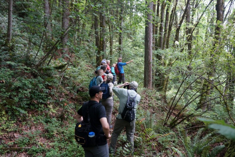 Issaquah Alps Trails Club Visit Issaquah   Issaquah Alps Trails Club 01 800x534 