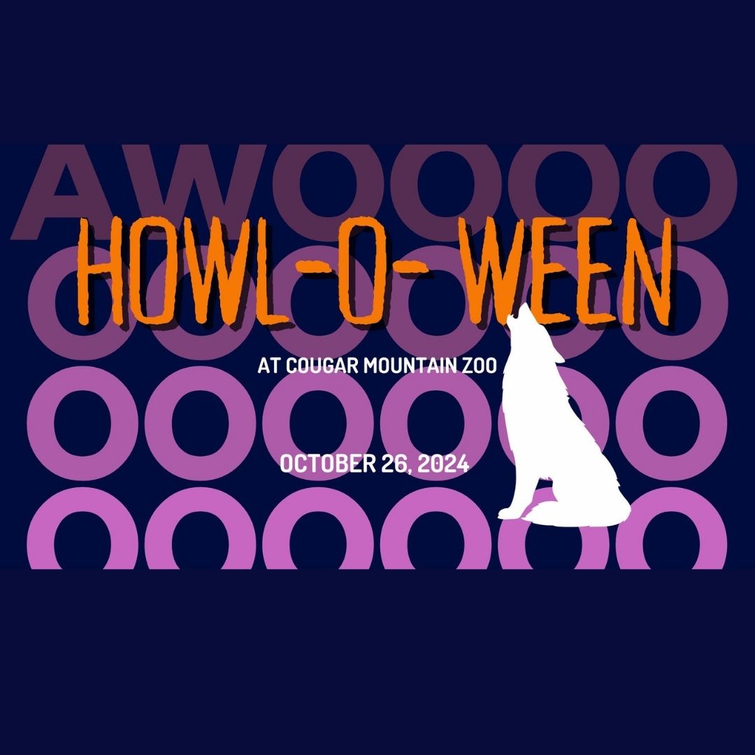 Howl O Ween 2024