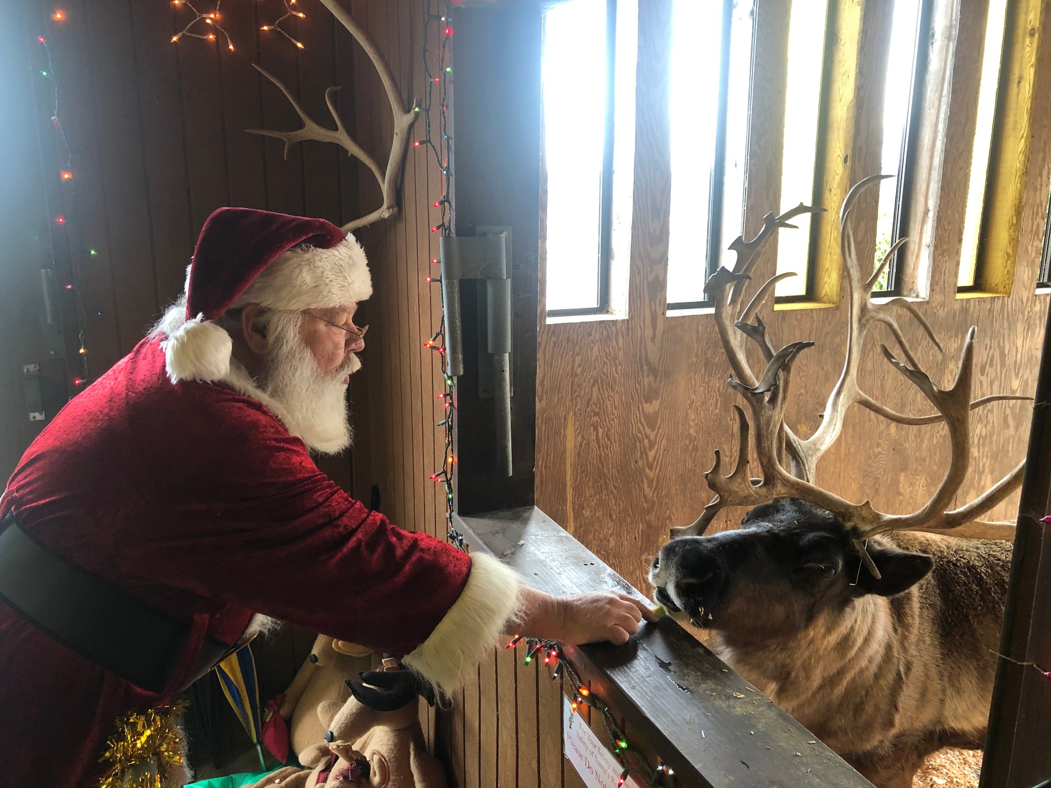 Santa and a reindeer