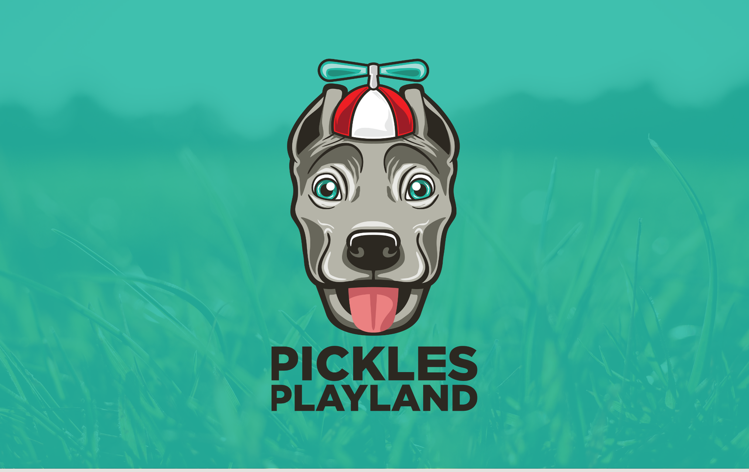 PICKLES Playland logo