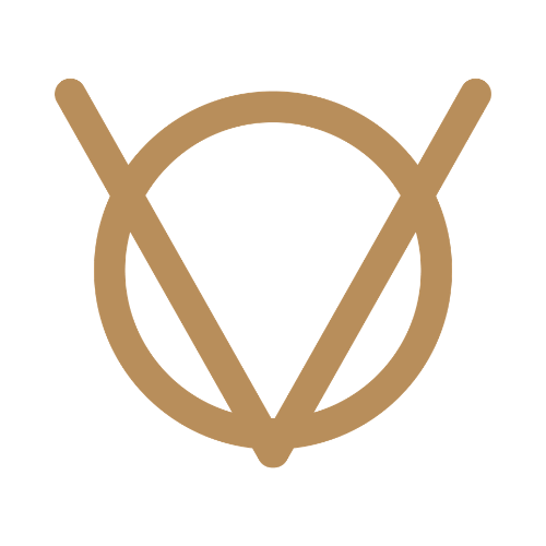 Vasa+Logo