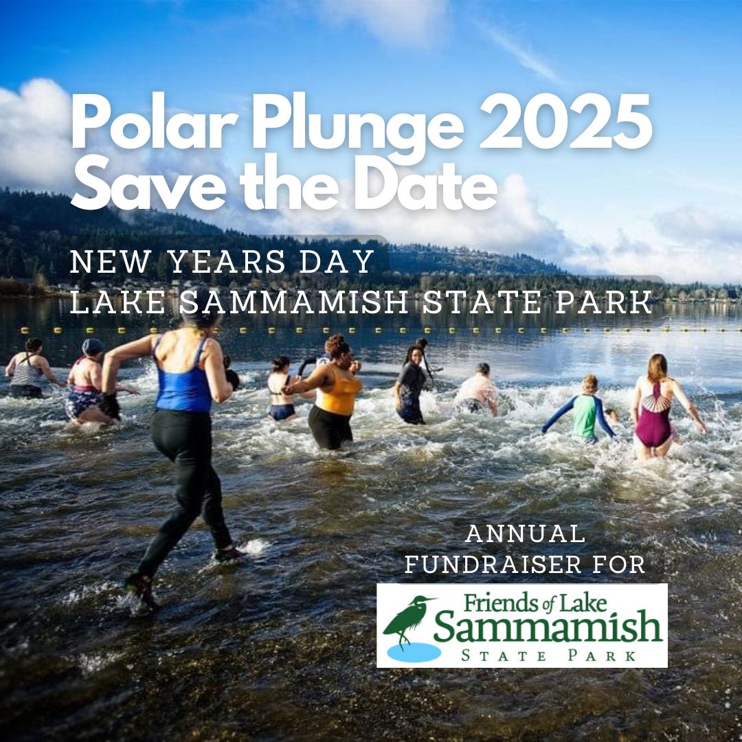 2025 Polar Plunge Save the Date