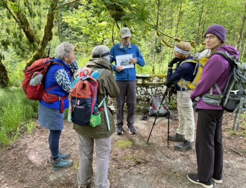 What is a Guided Hike with Issaquah Alps Trails Club Like?