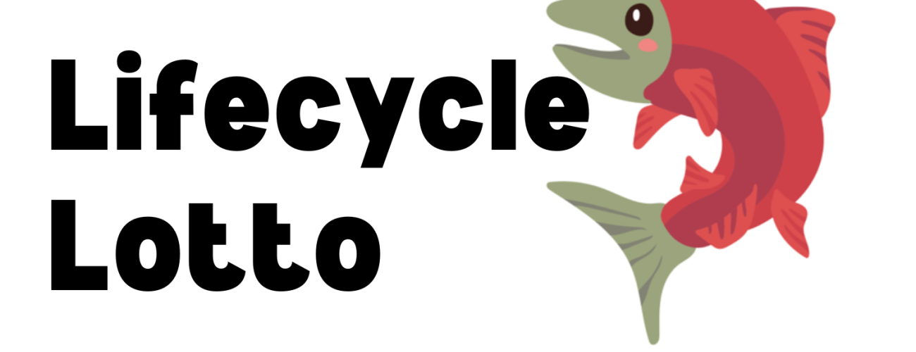 Lifecycle Lotto