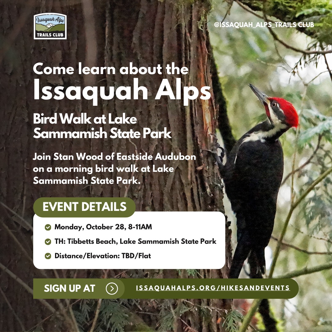 Bird walk on Oct 28