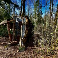 Bus of the bus trail in winter pc cg