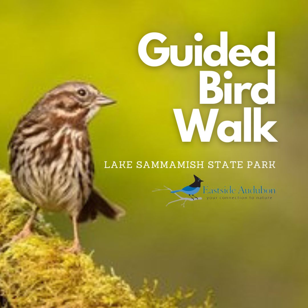 Guided Bird Walk no date