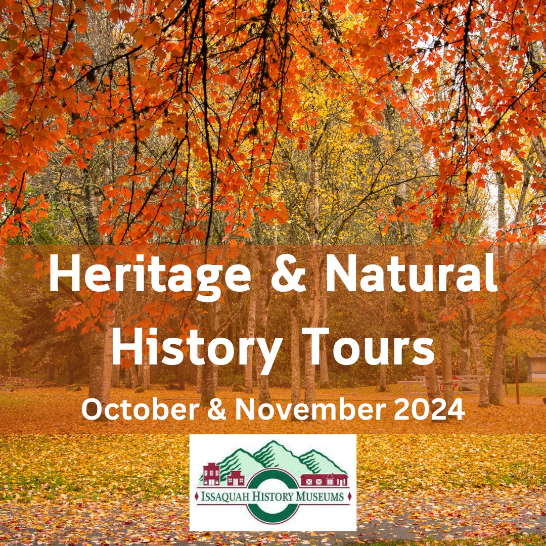 IHM Heritage Tour