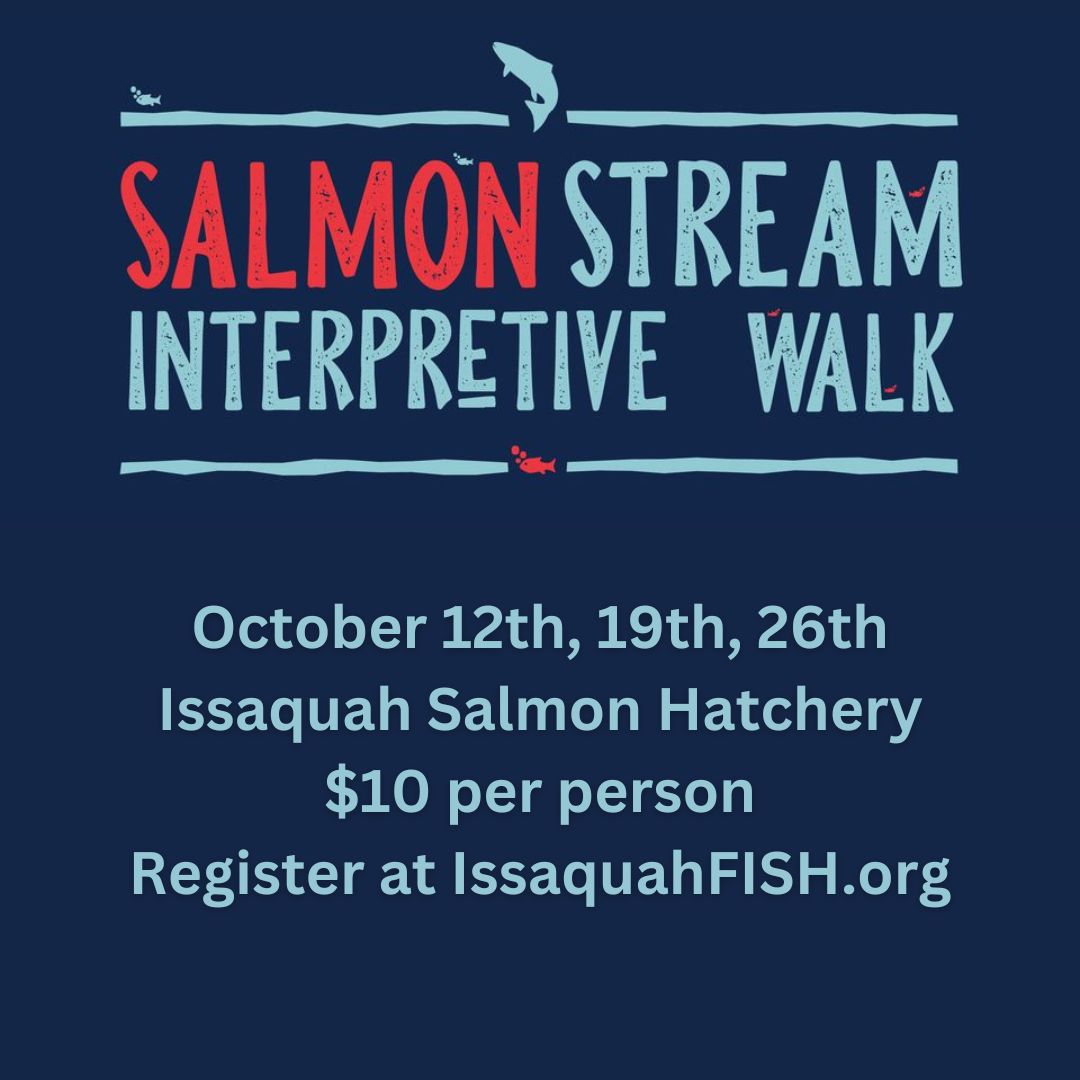 Oct Stream Walks