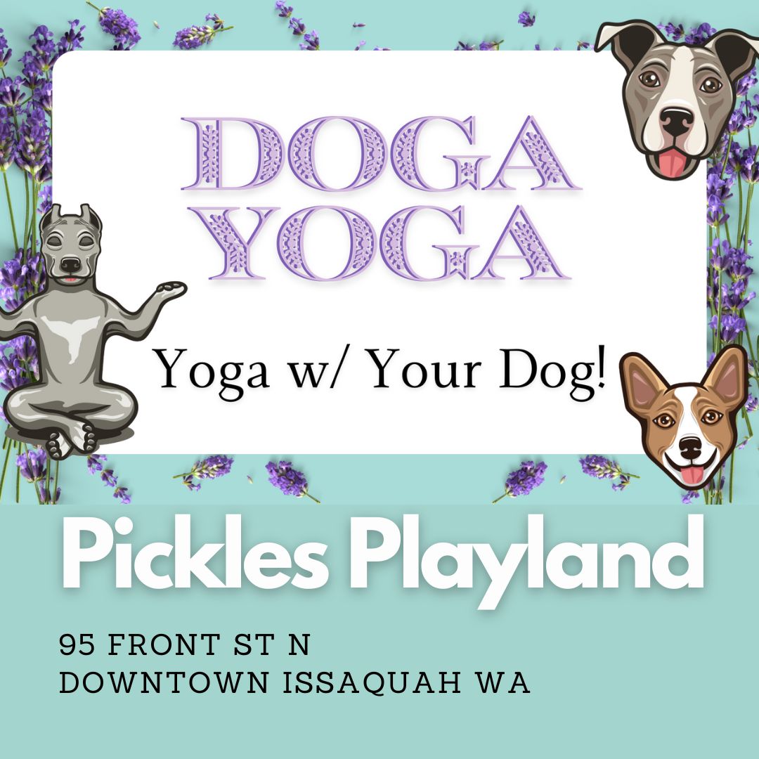 Pickles Playland Dog Yoga