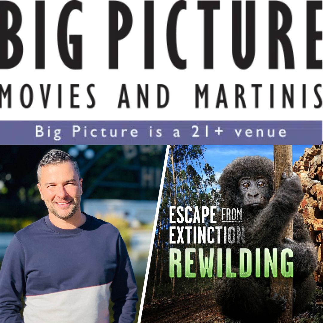 Rewilding at Big Picture