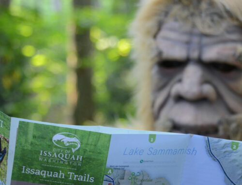 Mysterious Landmarks on the Trails of Issaquah Washington