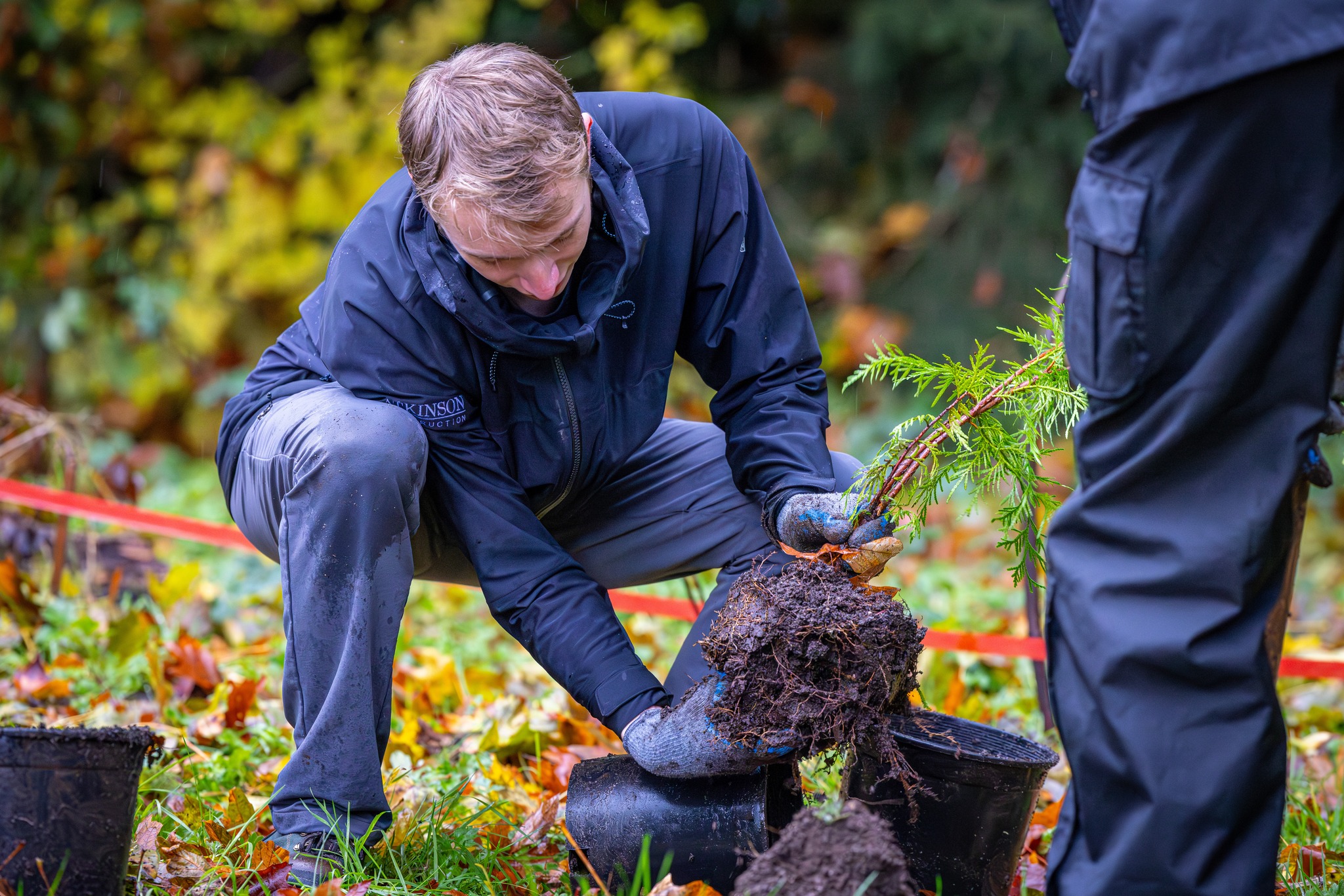 Tree Planting roots and pot