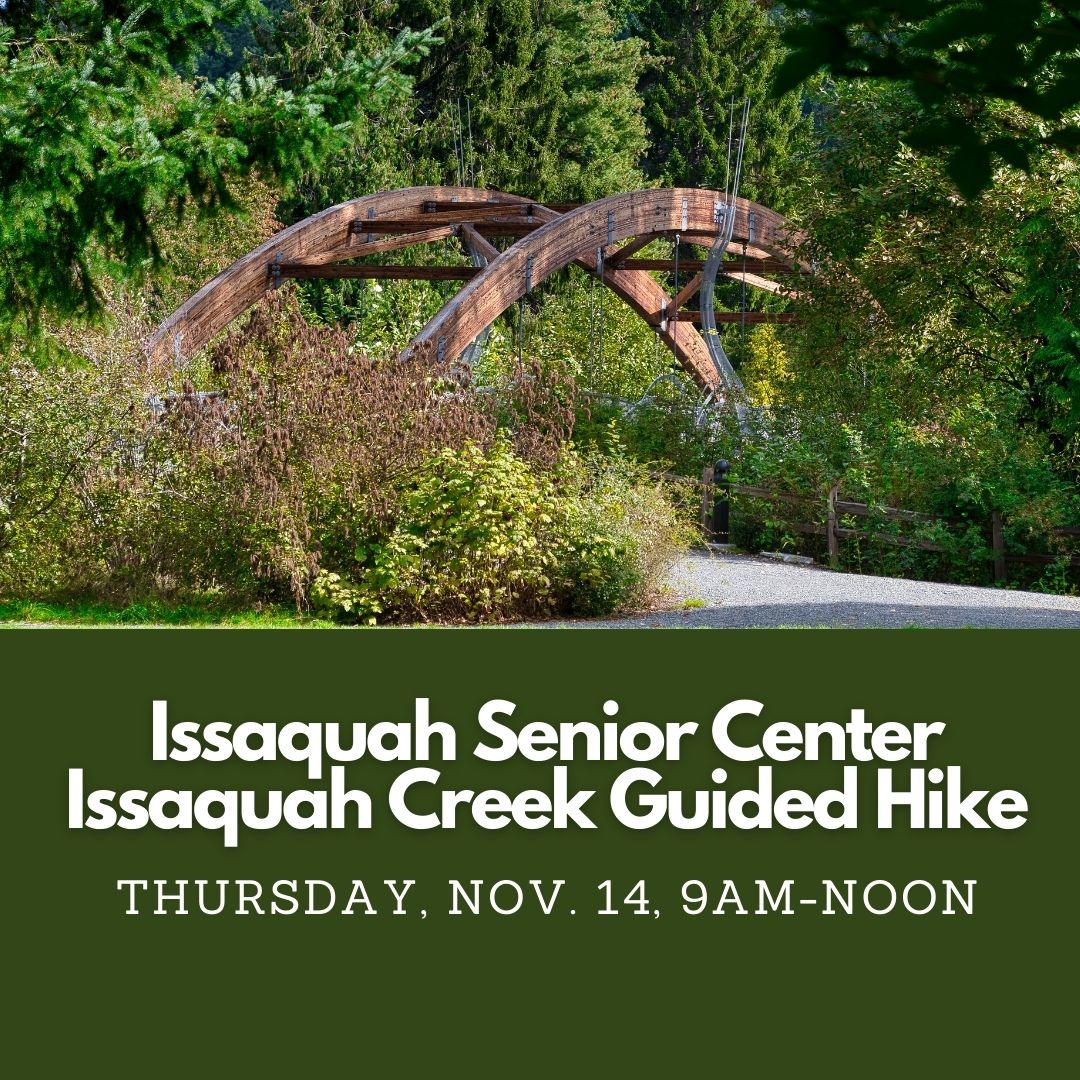 Senior Guided Hike