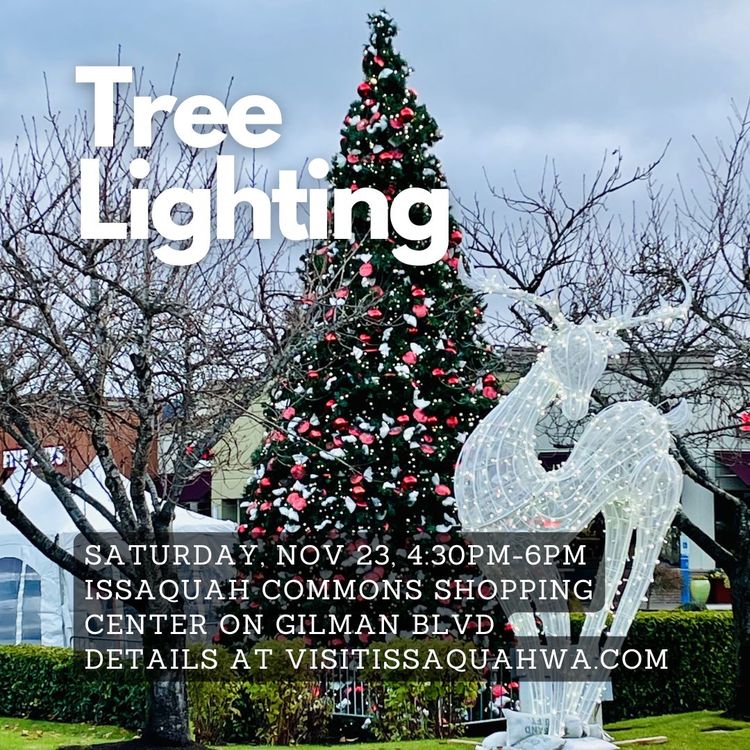 Tree Lighting at The Commons